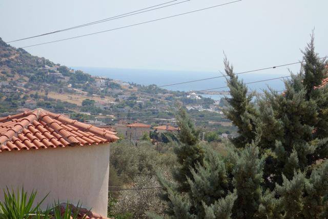 Villa Dendron Agia Marina  Exterior photo